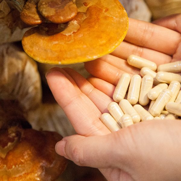 The Healing Power of Medicinal Mushrooms