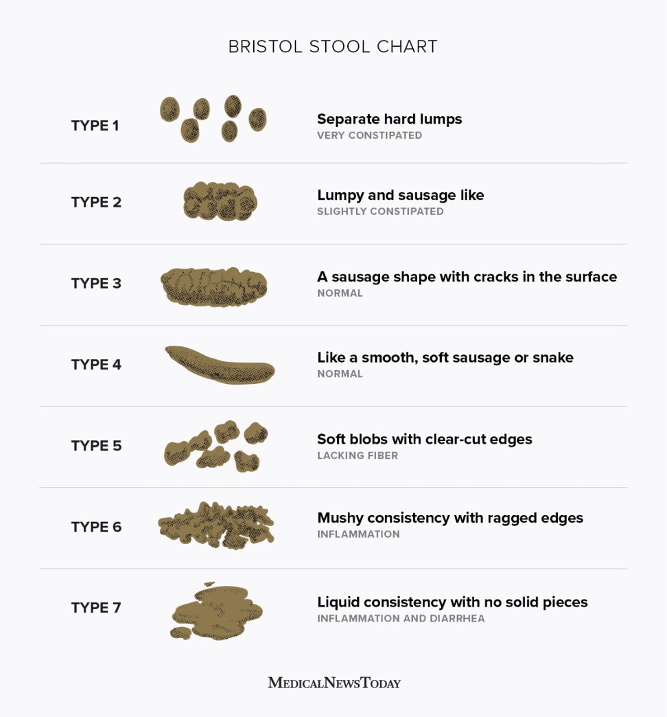 Bristol Poop Chart