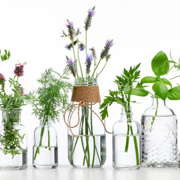 Herbal Detox for Year-Round Wellness